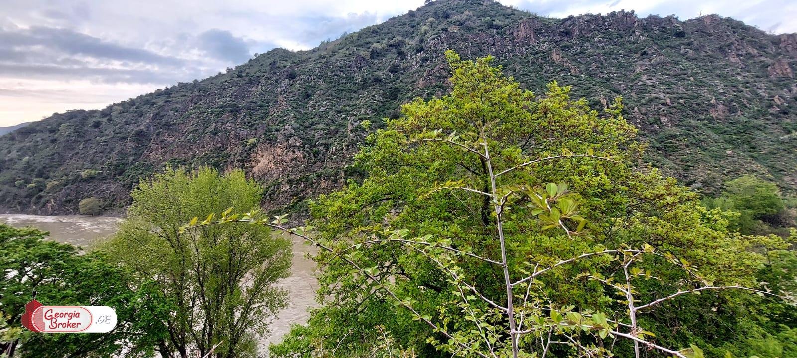 new build 5-room house for sale