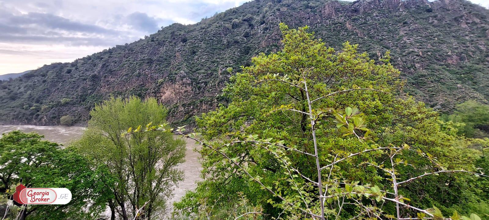 new build 5-room house for sale