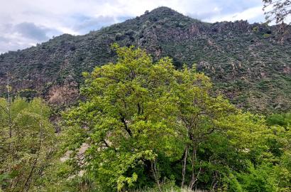 new build 5-room house for sale