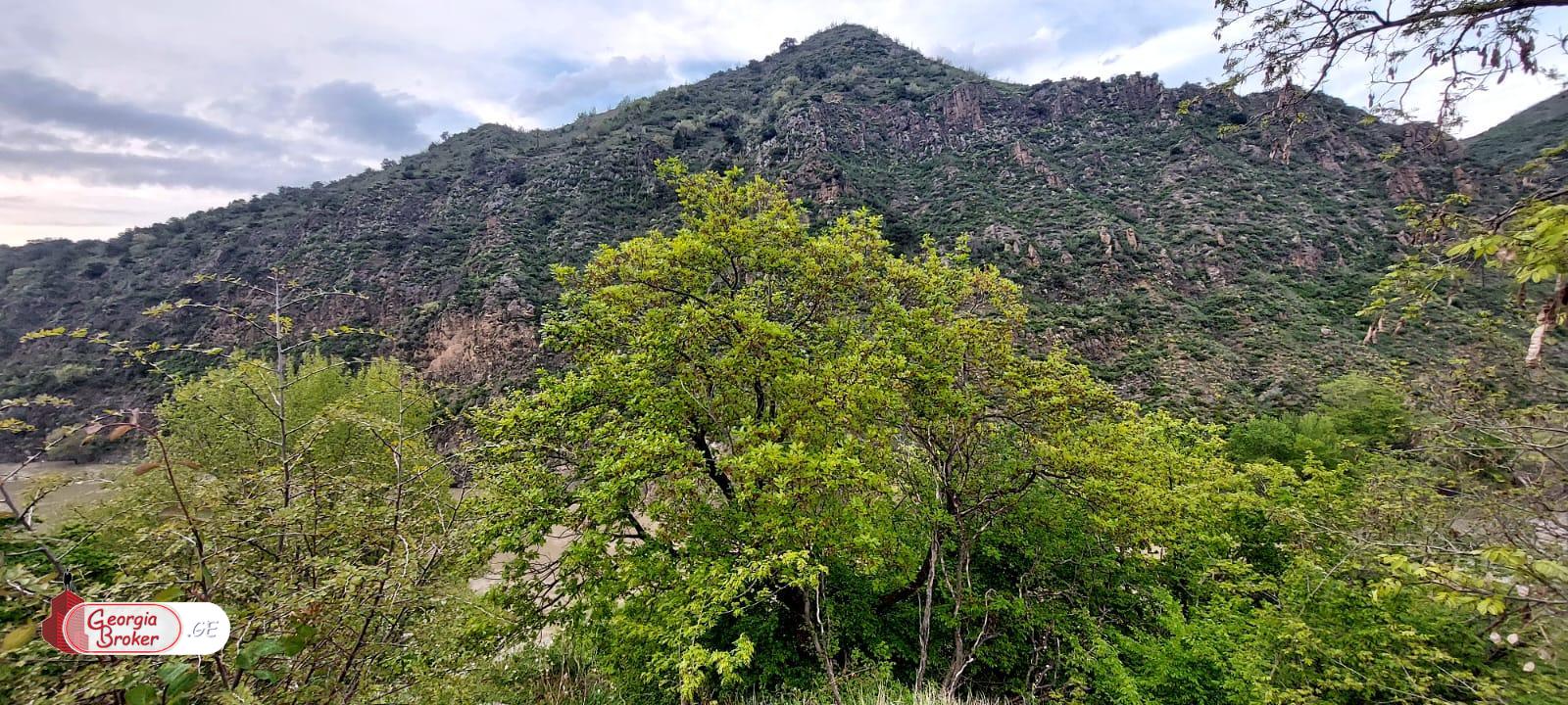 new build 5-room house for sale