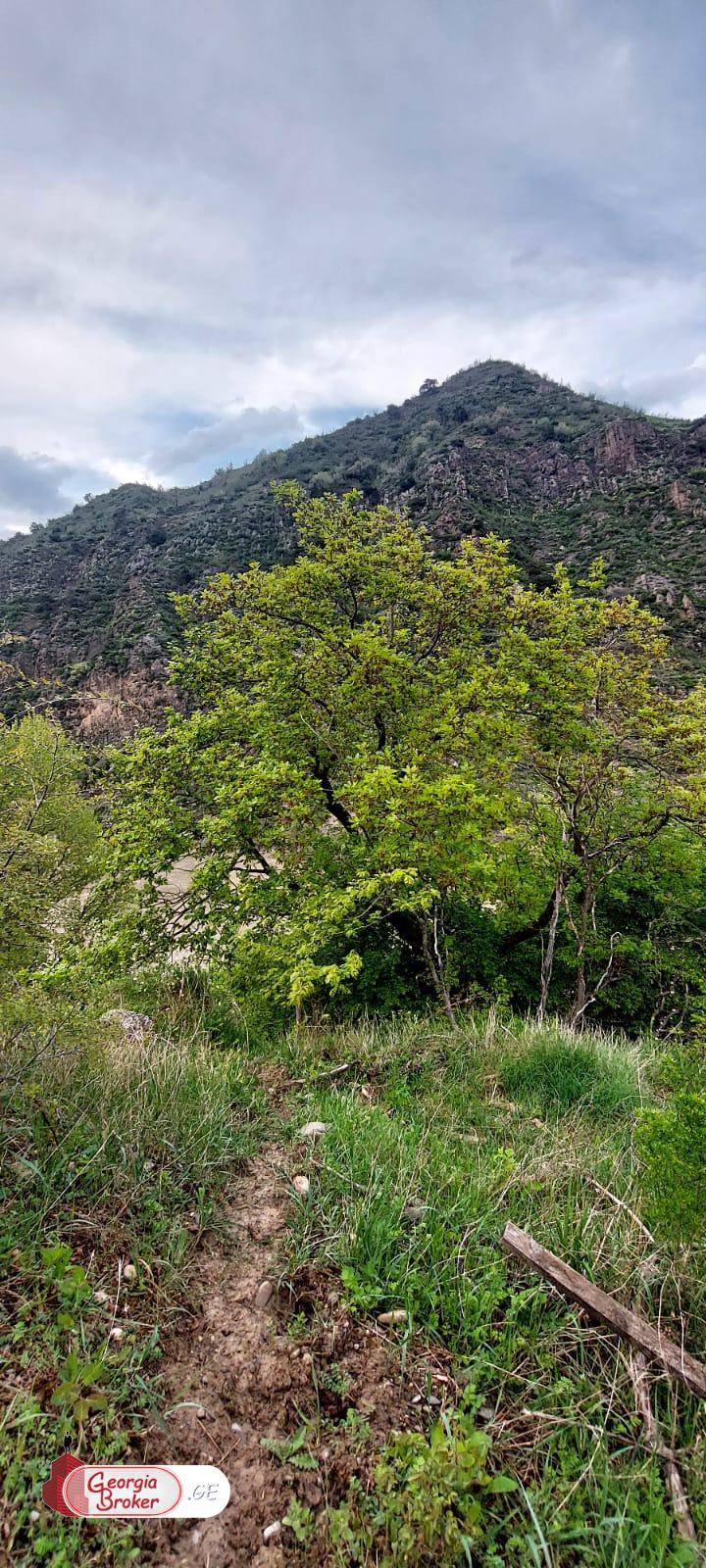 new build 5-room house for sale