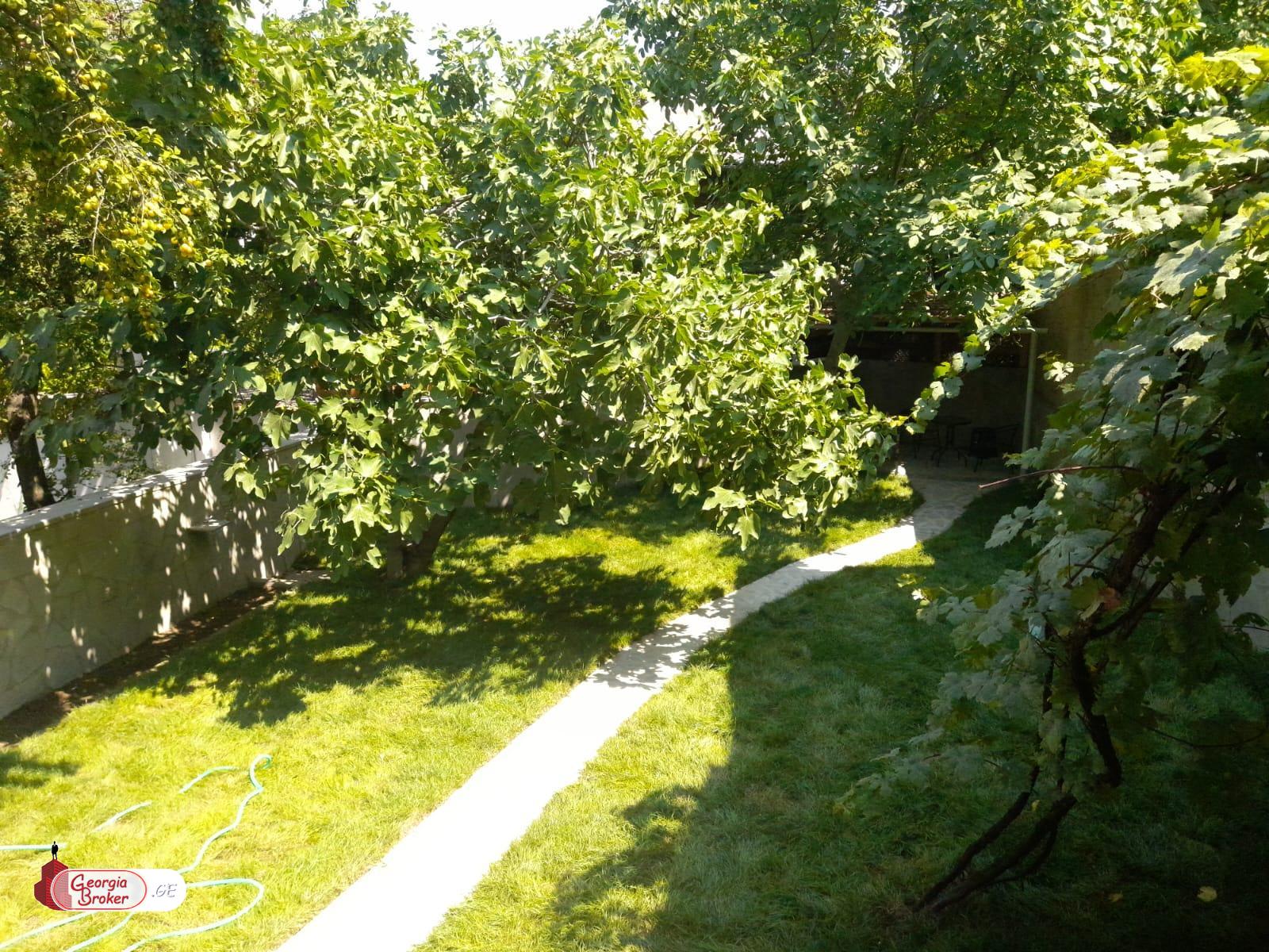 nearly repaired 6-room house for rent