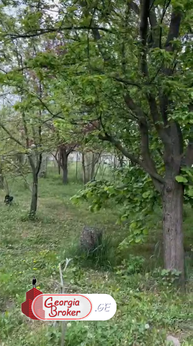 продается дом с новым ремонтом 5-комнат