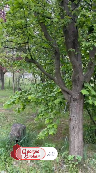 იყიდება ახალი გარემონტებული 5 ოთახიანი სახლი დუშეთის მუნიციპალიტეტში