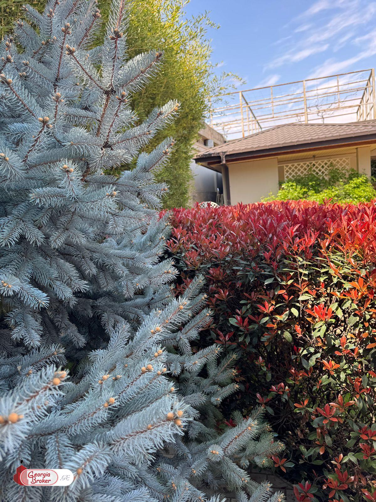 nearly repaired 12-room house for sale