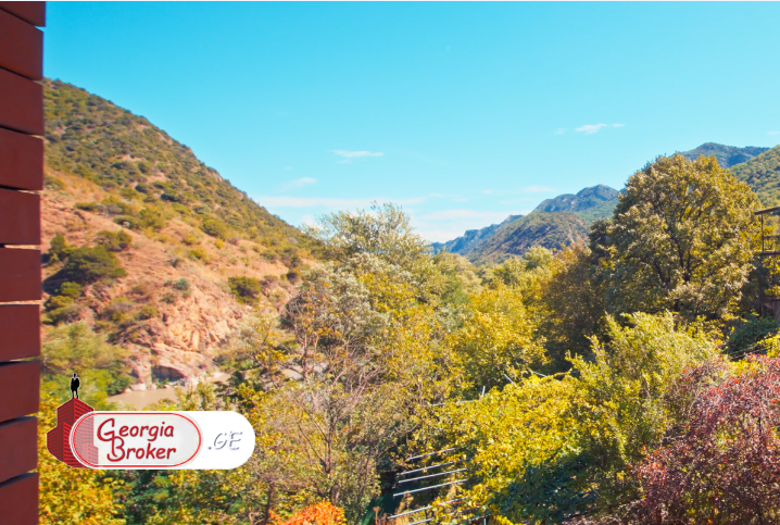 new build 9-room house for sale