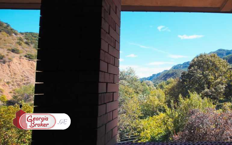 new build 9-room house for sale