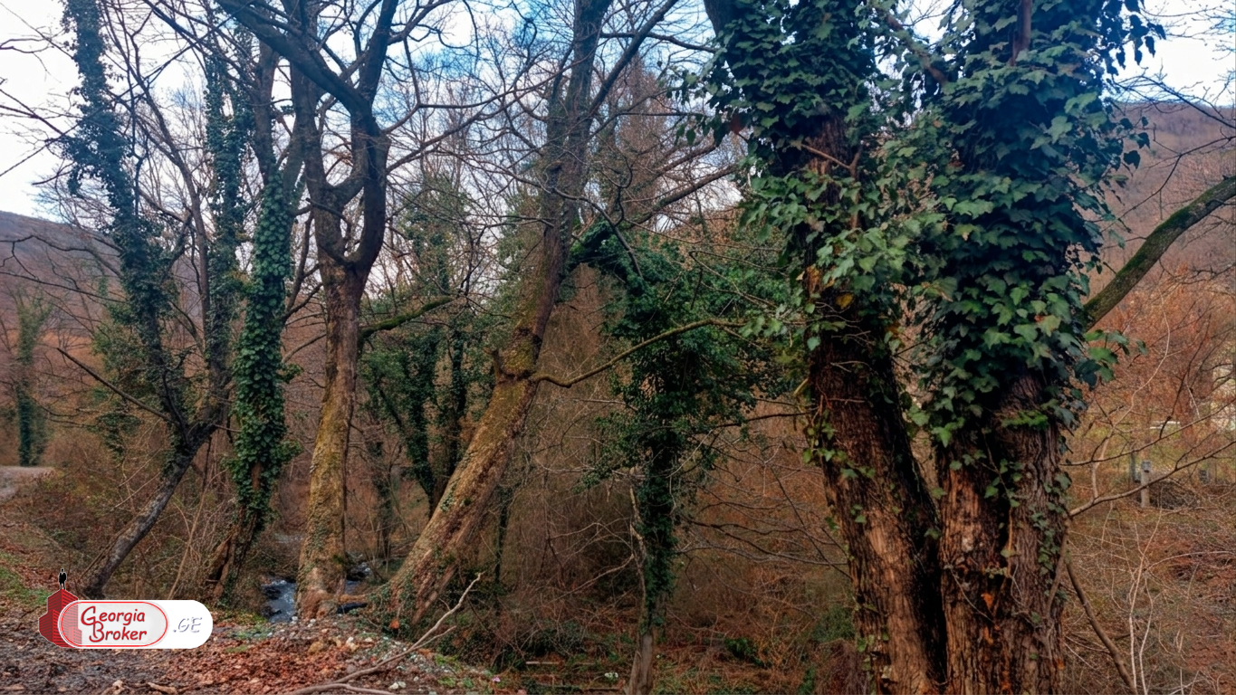 продается дом новостройка 8-комнат