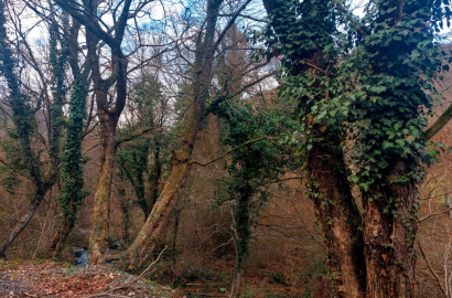 იყიდება ახალი აშენებული 8 ოთახიანი სახლი არმაზის ხეობაში