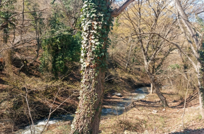 იყიდება ახალი აშენებული 8 ოთახიანი სახლი  მცხეთის სიახლოვეს.