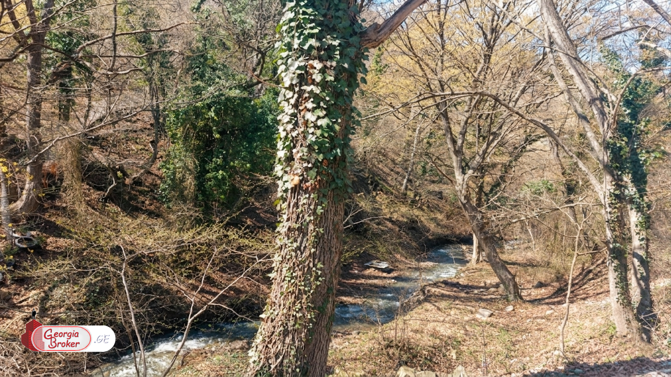 იყიდება ახალი აშენებული 8 ოთახიანი სახლი არმაზის ხეობაში