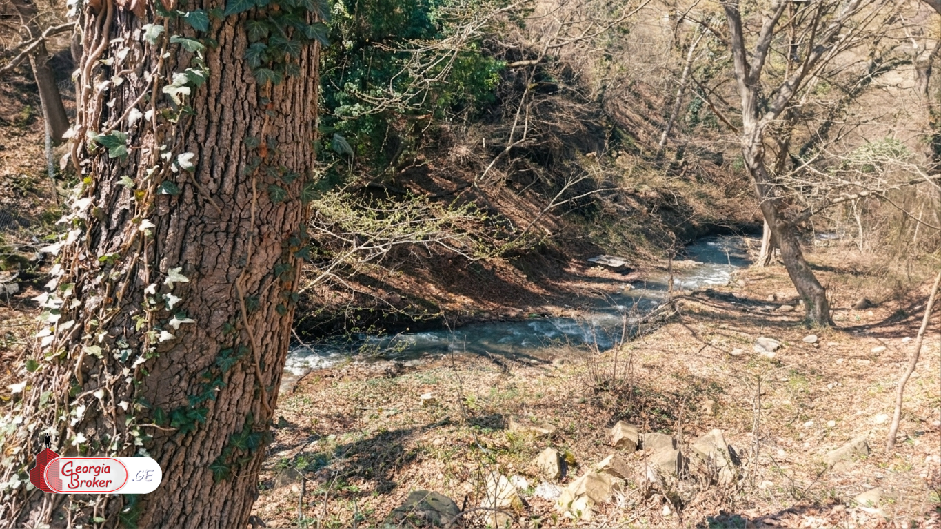 იყიდება ახალი აშენებული 8 ოთახიანი სახლი არმაზის ხეობაში