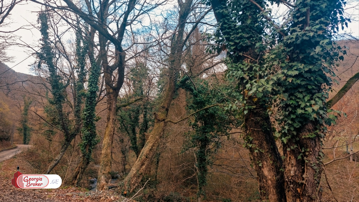 იყიდება ახალი აშენებული 8 ოთახიანი სახლი არმაზის ხეობაში