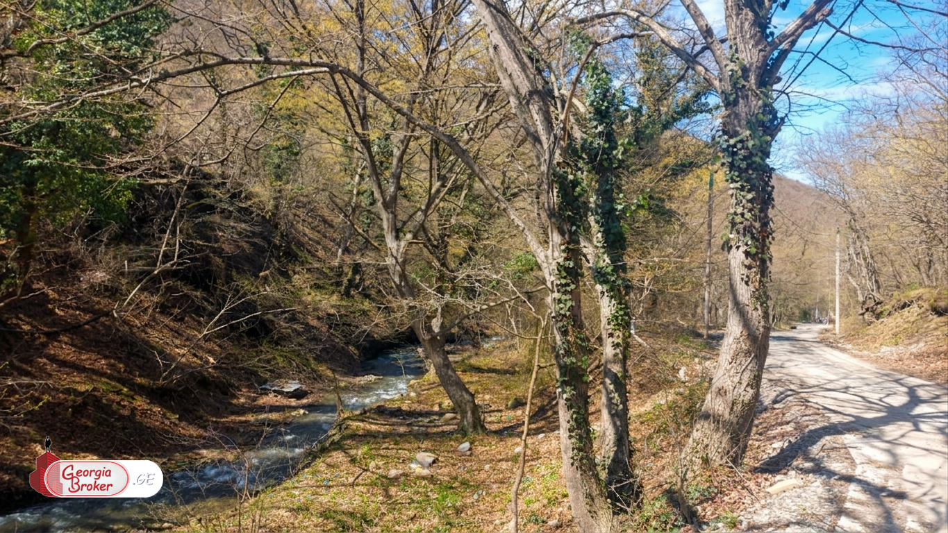 იყიდება ახალი აშენებული 8 ოთახიანი სახლი არმაზის ხეობაში