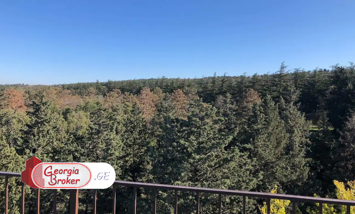 nearly repaired office space for sale