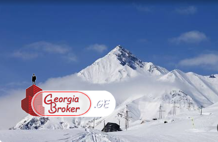 იყიდება ახალი გარემონტებული 3 ოთახიანი ბინა გუდაურში