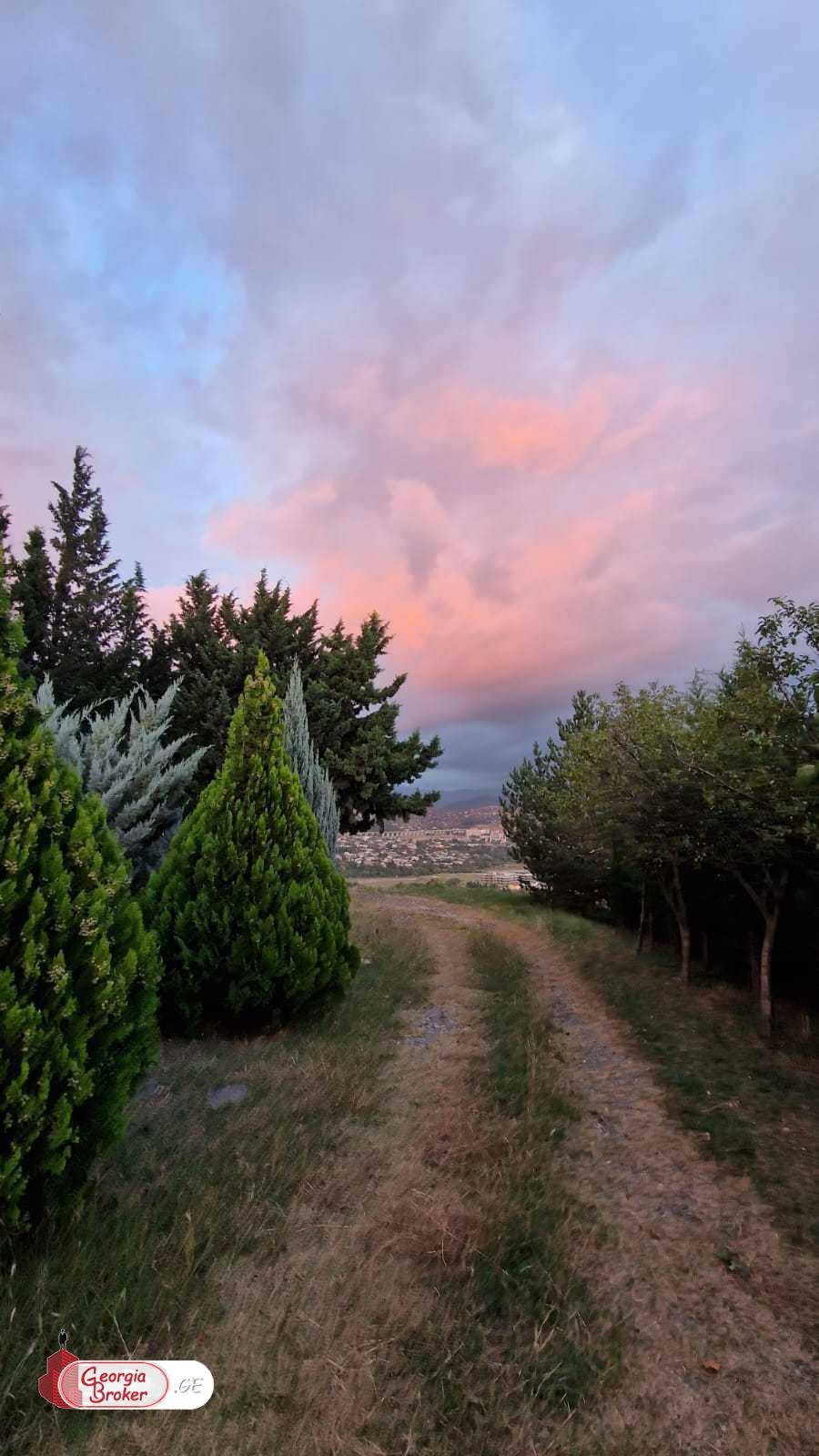 ქირავდება ახალი გარემონტებული 5 ოთახიანი სახლი ქოშიგორაზე