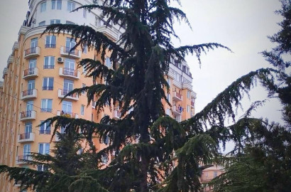 📍 იყიდე ბინა პრემიუმ ხარისხის ახალაშენებულ კორპუსში თემქის ხევის ტყე-პარკთან