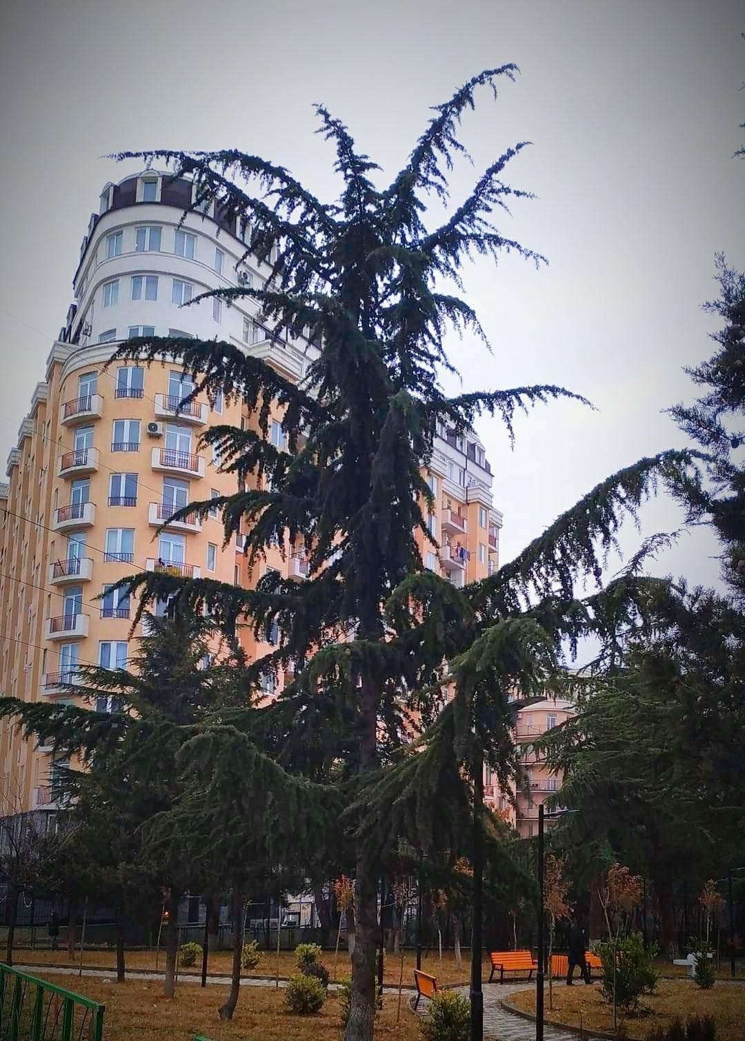 📍 იყიდე ბინა პრემიუმ ხარისხის ახალაშენებულ კორპუსში თემქის ხევის ტყე-პარკთან